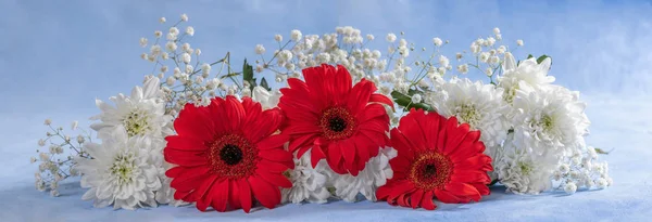 Çiçeklerin panoramik görüntüsü. Gül, Gerbera, Astra — Stok fotoğraf