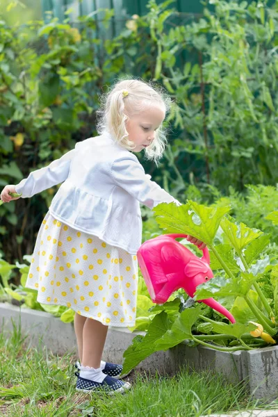 La bambina che annaffia un raccolto con un annaffiatoio rosa — Foto Stock