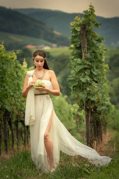 Mujer joven en la túnica cosechando uvas —  Fotos de Stock