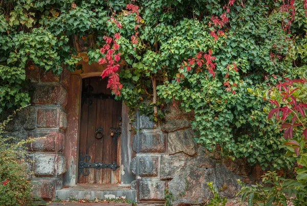 Staré dřevěné dveře s zámkem na podzimní den — Stock fotografie