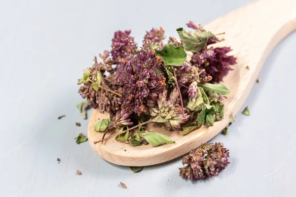 Stapel gedroogde munt op een houten tafel — Stockfoto