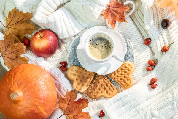 Autumn, fall leaves, a hot steaming cup of coffee, pumpkin and a — Stock Photo, Image