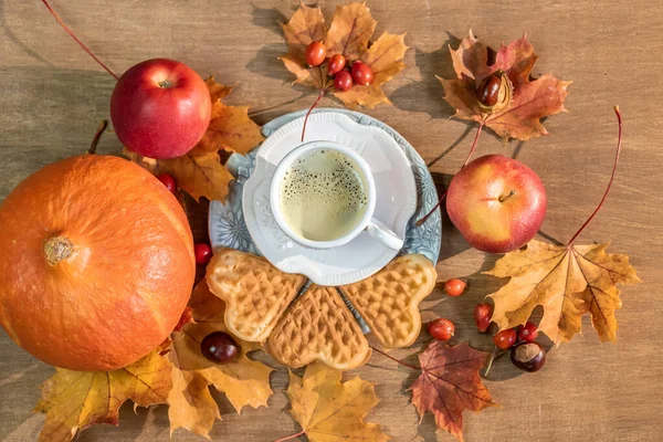 Autumn, fall leaves, a hot steaming cup of coffee, pumpkin and a — Stock Photo, Image