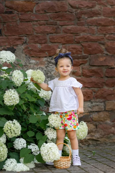 Klein Meisje Met Speelgoed Witte Bloemen — Stockfoto