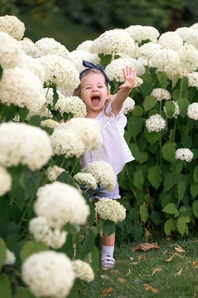 Маленька Дівчинка Біля Білих Квітів — стокове фото