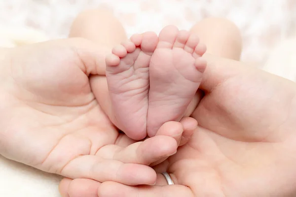 Baby Voeten Hand Van Ouder Close — Stockfoto