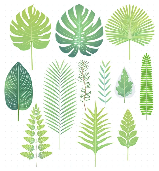 Green Tropical Leaves Set Vector Illustrations — Stock Vector