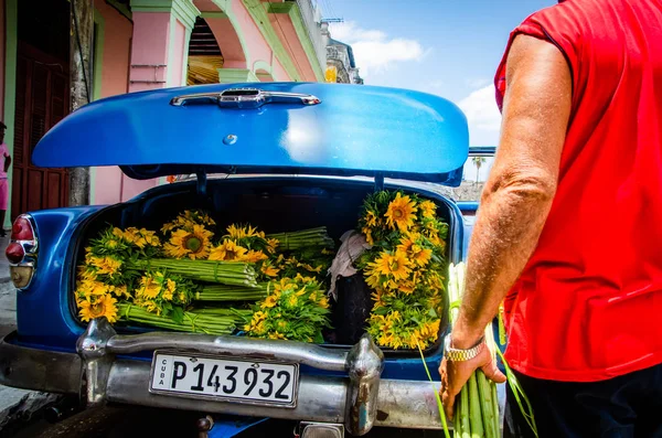 Sunflowers for Virgen de la Caridad, the Patroness of Cuba — 스톡 사진
