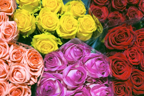 Bunches of multiclored  roses. Fresh flower background. Florist  service.  Wholesale  flower shop. Flower storage. Top view.