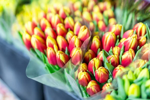 Багато Різнокольорових Букетів Тюльпанів Квітковий Ринок Або Магазин Оптовий Роздрібний — стокове фото