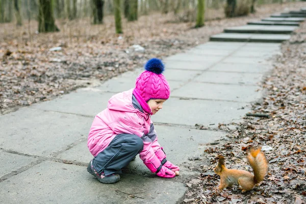 Niña alimentando a ardilla con nueces en el bosque . — Foto de Stock