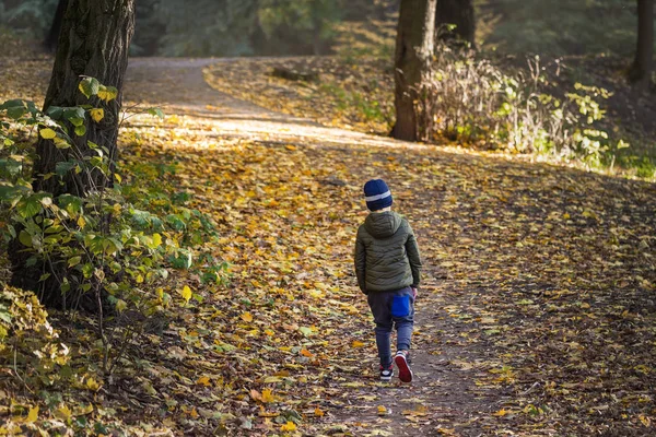 Pequeño niño caminando solo por el bosque de otoño. Camino en la vida. Bullying en el concepto escolar. Miedo y miedo. Vista trasera — Foto de Stock