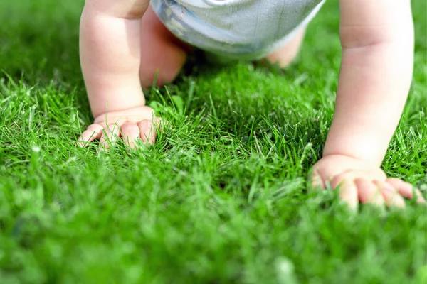 Close-up bebê lotação através de gramado de grama verde. Detalhes mão infantil andando no parque. Criança descobrindo e explorando o conceito de natureza e terra. Dar os primeiros passos — Fotografia de Stock