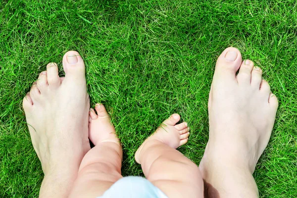 Ojciec i syn bosymi stopami na Zielona trawa trawnik w parku. Rodzic z chłopca co pierwsze kroki w życiu. Dziecko, poznawanie i odkrywanie przyrody z pomocą taty. Od góry — Zdjęcie stockowe