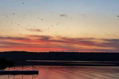 Gün batımında sırasında güneş yönde Gölü üzerinde uçan kuşlar sürüsü. Güzel renkli doğal dusk dramatik gökyüzü ve martılar Nehri üzerinde