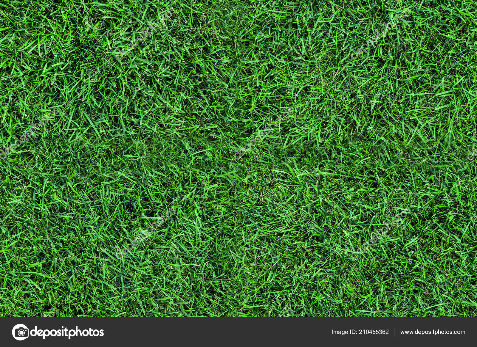 Dark Seamless Green Grass Texture Background Fresh Lawn Field View Stock  Photo by ©gorlovkv 210455362