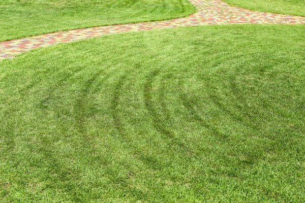 Freshly mowed rows of green lawn at country residence with circled pathway. Landscape design and gardening concept.