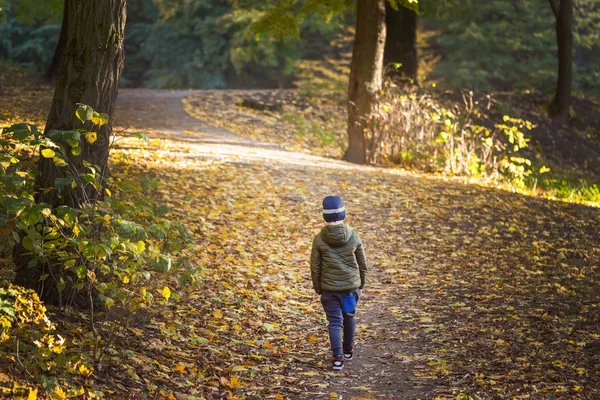 Pequeño Niño Caminando Solo Por Bosque Otoño Camino Vida Bullying — Foto de Stock