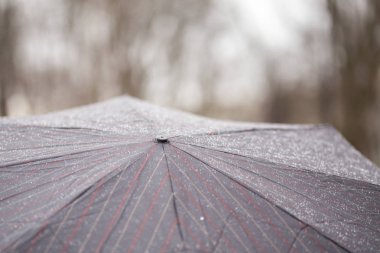 Şehir Parkı içinde koyu çizgili ıslak şemsiyesi altında sonbahar veya ilkbahar yağmur sırasında yürüyüş kişi. Hava durumu conept. Kötü ruh.