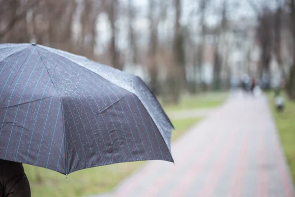 Osoba Chodzenie Pod Ciemne Paski Mokry Parasol Parku Miejskim Podczas — Zdjęcie stockowe