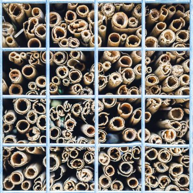 Tekne otel veya ev vahşi arılar ve diğer böcek için yakın çekim parçası doğal çevre malzemelerden yapılmış. Koniler, ahşap ve bambu sopalarla, saman, saman ve kabuk sığınak yapılmış.