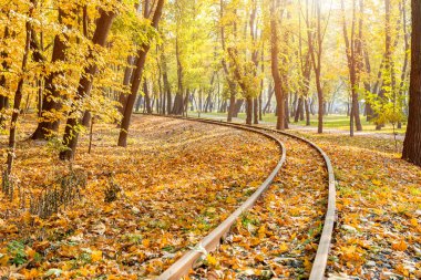 Demiryolu eğrileri güzel turuncu ormandan gidiyor. Sıcak sonbahar seyahat arka plan. mevsimlik seyahat kavramı