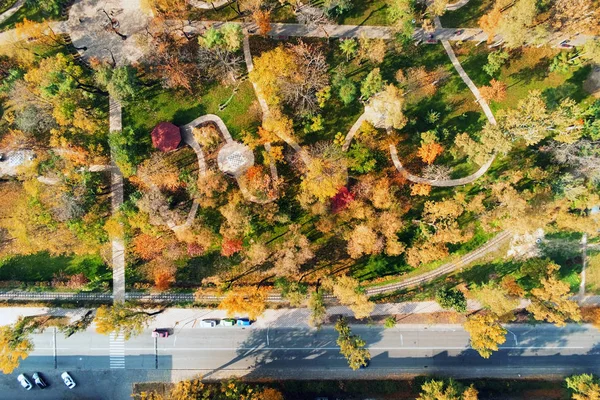 Autumn city park with gardening and landscape design. Green zone area with path for walking and running. Aerial view — Stock Photo, Image