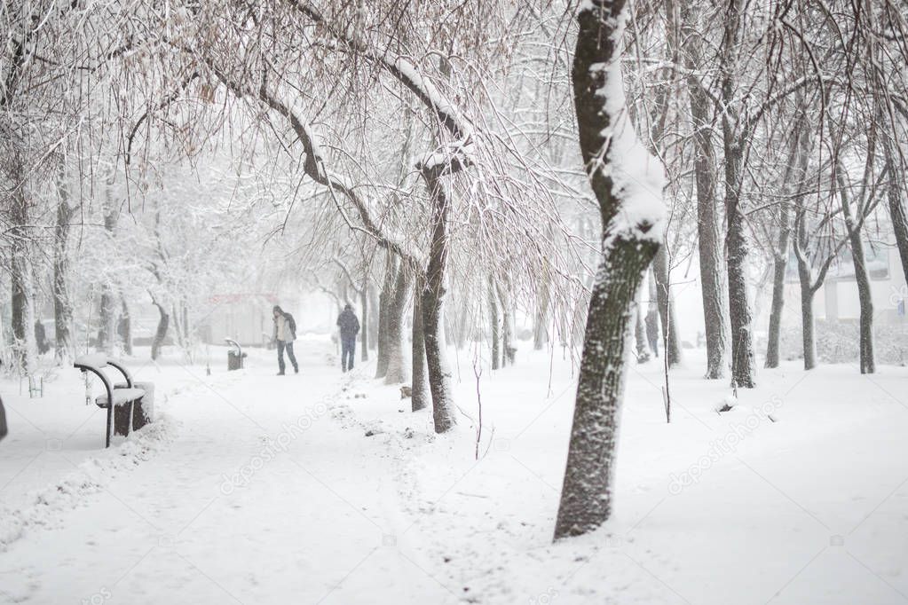 City park in winter. Walkway and benches covered with snow. Town recreation area after snowfall. Winter weather forecast. Heavy snowstorm and blizzard.