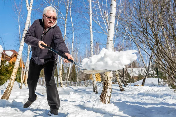 Senior man throwing snow with shovel from private house yard in winter on bright sunny day. Elderly person removing snow in garden after heavy snowfall. Physical activity for people outdoors.