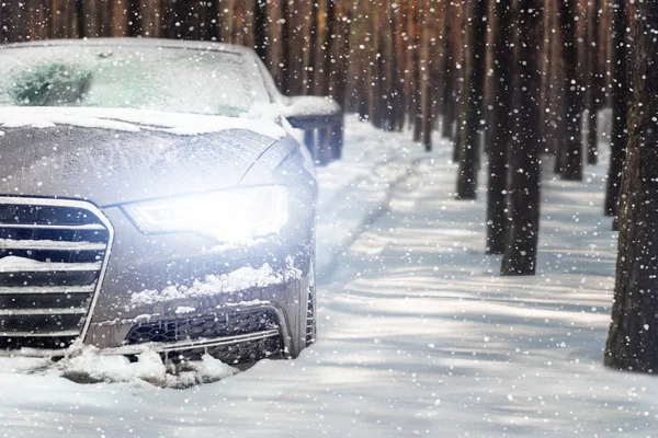 Coche Conduciendo Través Del Bosque Pinos Dejando Huellas Nieve Fuertes —  Fotos de Stock