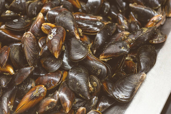 Close-up heap of raw fresh mussels on counter at local fish market. Heap of Nutritious shellfish mollusk at seafood store