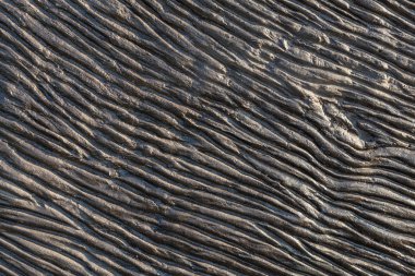 Soyut drak çizgili doku arka plan. Ahşap zemin çizgili, çizgiler, eğriler ve barlar ile