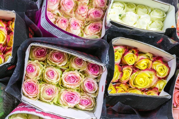 Cientos Rosas Multicolores Envueltas Papel Fondo Flores Frescas Floricultura Negocio —  Fotos de Stock