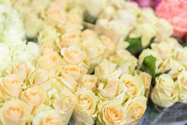 Buketter Rosor Multiclored Färska Blommor Bakgrund Florist Service Bröllop Närvarande — Stockfoto