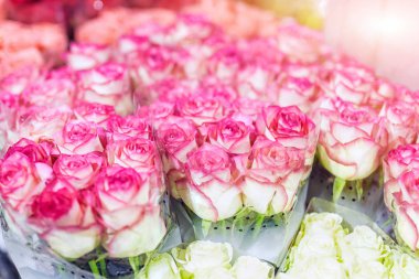 Multiclored gül demetleri. Taze çiçek arka plan. Çiçekçi Servisi. Düğün hediyesi çiçek Dükkanı. Çiçek Muhafazası ve ambar.