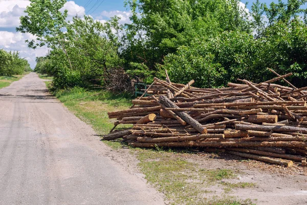 Большая хаотичная куча сосновых деревянных бревен, заготовленных возле сельской дороги в деревне. Подготовка и хранение лиственных пород для будущей зимы — стоковое фото