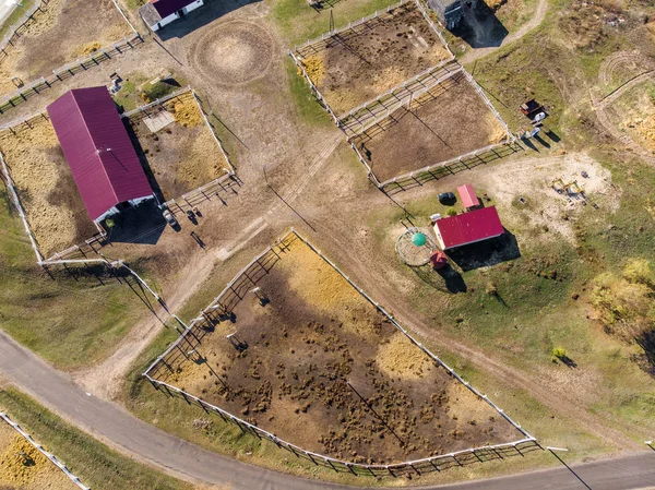 Luchtfoto drone uitzicht op landelijke paardenboerderij of Ranch. Dorp of platteland met paardenstallen en schuren — Stockfoto