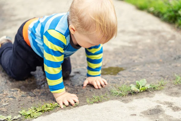 Söt liten kaukasiska blonda småbarn pojke ha kul liggande i en pöl efter regn utomhus. Nyfiken barn upptäcka världen i lera — Stockfoto