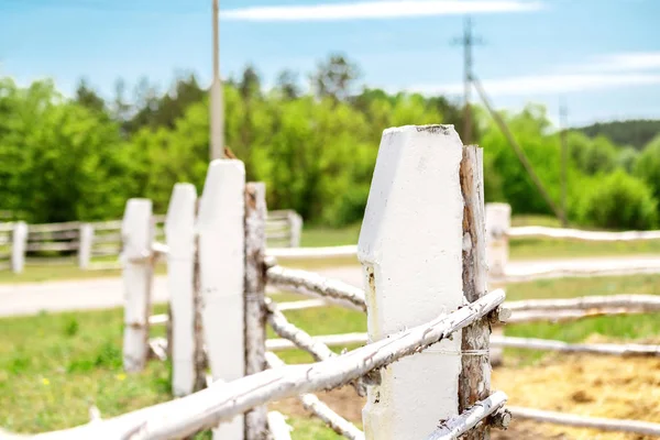Valla de madera en zigzag pintada de blanco viejo en rancho o granja de caballos con bosque verde y cielo azul en el fondo. Paisaje rural — Foto de Stock