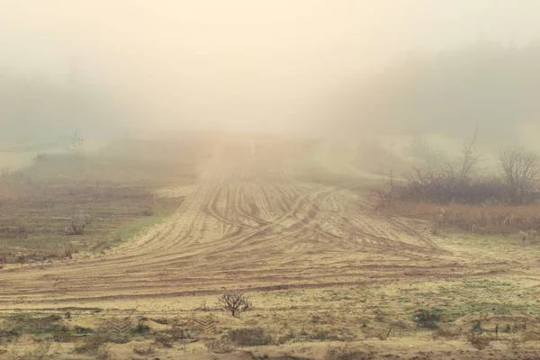 Таинственная песчаная грунтовая дорога, покрытая густым туманом ранним осенним утром. Сосны с густым туманом вдоль сельской дороги. Живописная осенняя природа. Дорога в никуда — стоковое фото