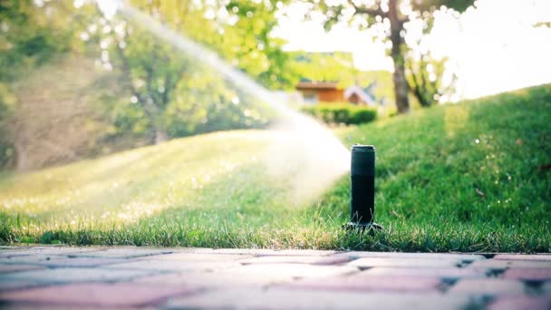 Automatisch Irrigatiesysteem Met Verschillende Sprinklers Drenken Tuin Groen Gras Gazon — Stockvideo