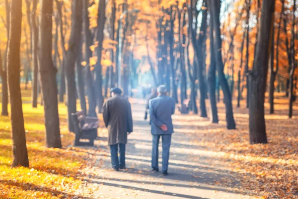 Dos amigos mayores hombre caminando a lo largo de hermoso parque colorido de la ciudad de otoño. Pareja de personas de edad avanzada hablando durante el paseo en el hermoso valle del árbol de otoño multicolor. Concepto de jubilación y pensión.Borroso —  Fotos de Stock