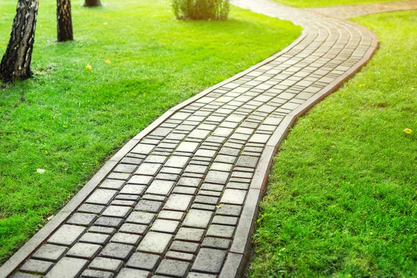 Slab stone paved path way along green grass lawn at park or backyard. Walkway footpath road at house yard garden — Stock Photo, Image