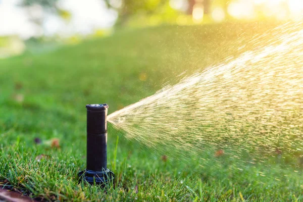 Nahes automatisches Gartenbewässerungssystem mit verschiedenen Sprinklern, die unter dem Rasen installiert sind. Landschaftsgestaltung mit Rasenhügeln und Obstgarten, der bei Sonnenuntergang mit intelligenten autonomen Sprayern bewässert wird — Stockfoto