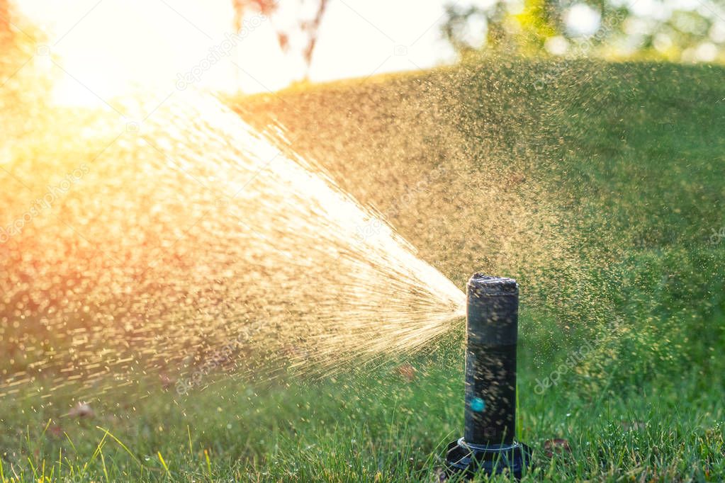 Close-up automatic garden watering system with different sprinklers installed under turf. Landscape design with lawn hills and fruit garden irrigated with smart autonomous sprayers at sunset time