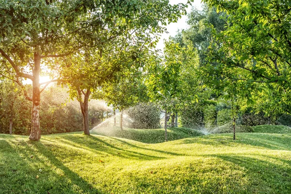 Landscape automatic garden watering system with different sprinklers installed under turf. Landscape design with lawn hills and fruit garden irrigated with smart autonomous sprayers at sunset time — Stock Photo, Image