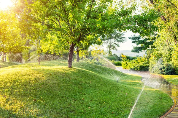 Automatisches Gartenbewässerungssystem mit verschiedenen Sprinklern, die unter Rasen installiert sind. Landschaftsgestaltung mit Rasenhügeln und Obstgarten, der bei Sonnenuntergang mit intelligenten autonomen Sprühgeräten bewässert wird — Stockfoto