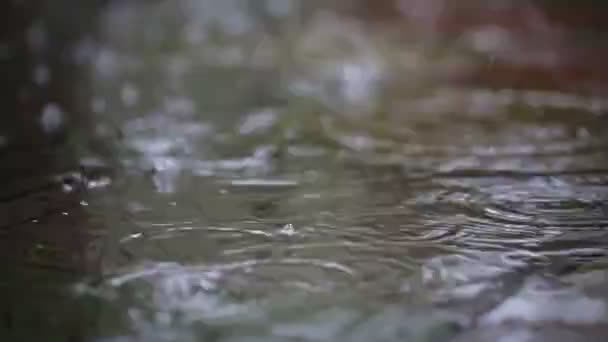 Närbild Regndroppar Faller Pöl Över Asfalterade Gångväg City Street Göra — Stockvideo