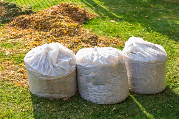 Montón de hojas caídas amarillas y anaranjadas recogidas en grandes bolsas de plástico blanco en césped de hierba verde en el patio trasero. Eliminación de follaje de otoño o primavera en la calle o parque de la ciudad. Eliminación de residuos naturales — Foto de Stock