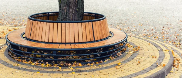 Modern wooden circle shaped bench installed around tree in city park or street covered with bright golden and yellow colored fallen leaves in autumn. Tranquil beautiful fall scene background